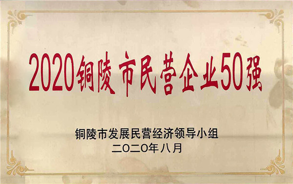 2020年銅陵市民營(yíng)企業(yè)50強(qiáng)